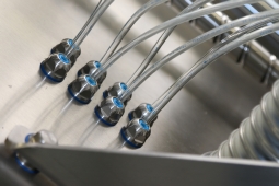 Hygiëne wartels tbv voedingsindustrie